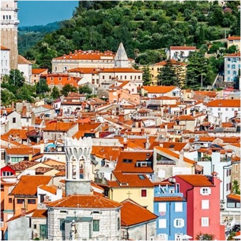 Image representing  from International Association of Tour Managers