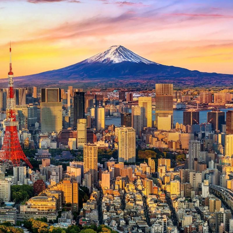 Image representing  from International Association of Tour Managers